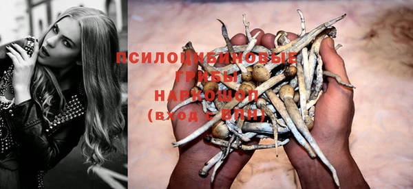 эйфоретик Елабуга