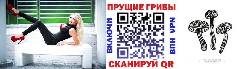 Купить где  Катав-Ивановск  Псилоцибиновые грибы мухоморы 